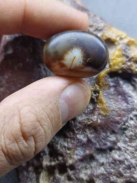 حجر سليماني مصور شجرة و لون مميز
للتواصل على الخاص
او على الرقم
***********
