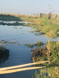 النيل • ٢٥٠٠م • طابو زراعي