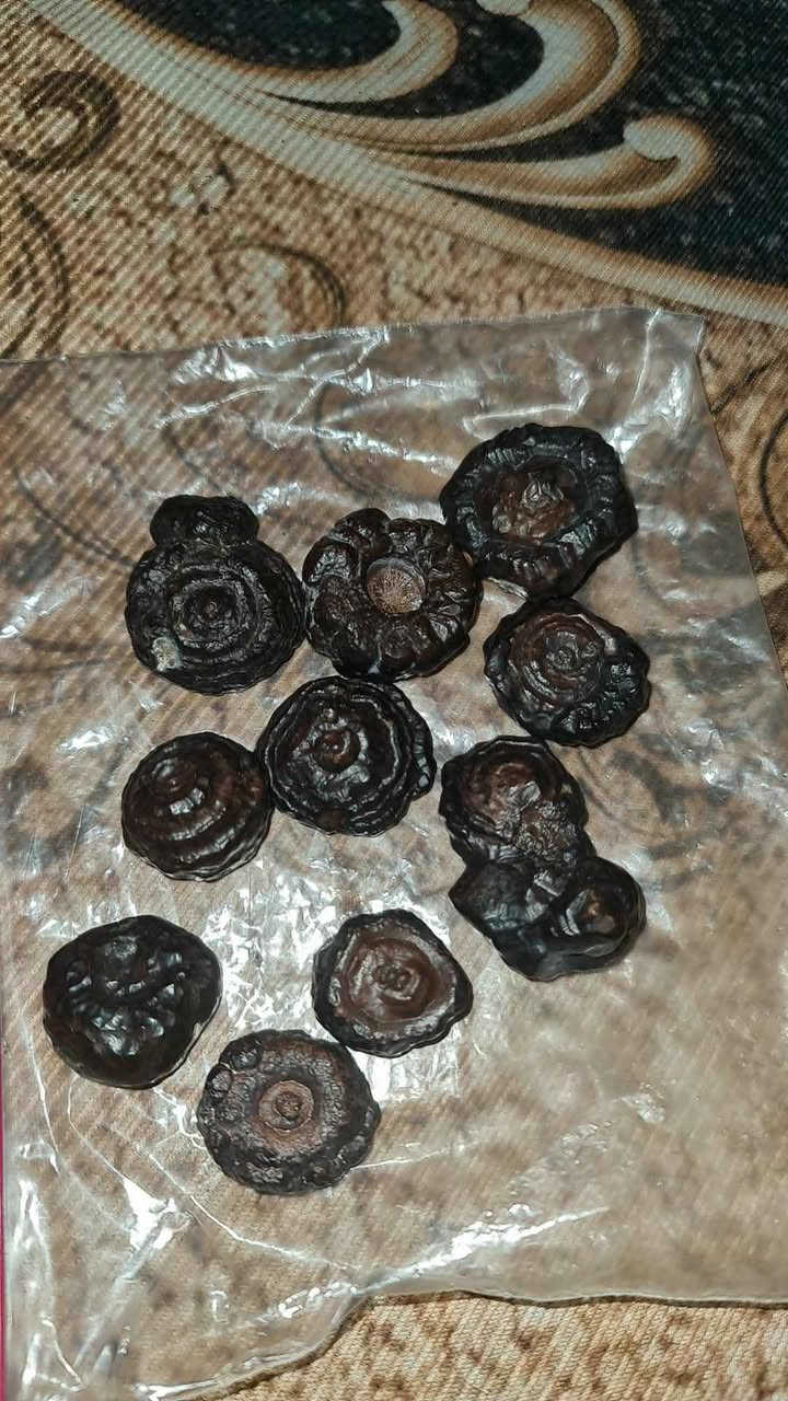 هبهاب البيع ماعدي توصيل 100الف اوبيهة مجال الشراي كربلاء, العراق


**إذا كنت صاحب هذا الإعلان وتريد حذفه لأي سبب، رجاءا أرسل رسالة إلى الدعم الفني**