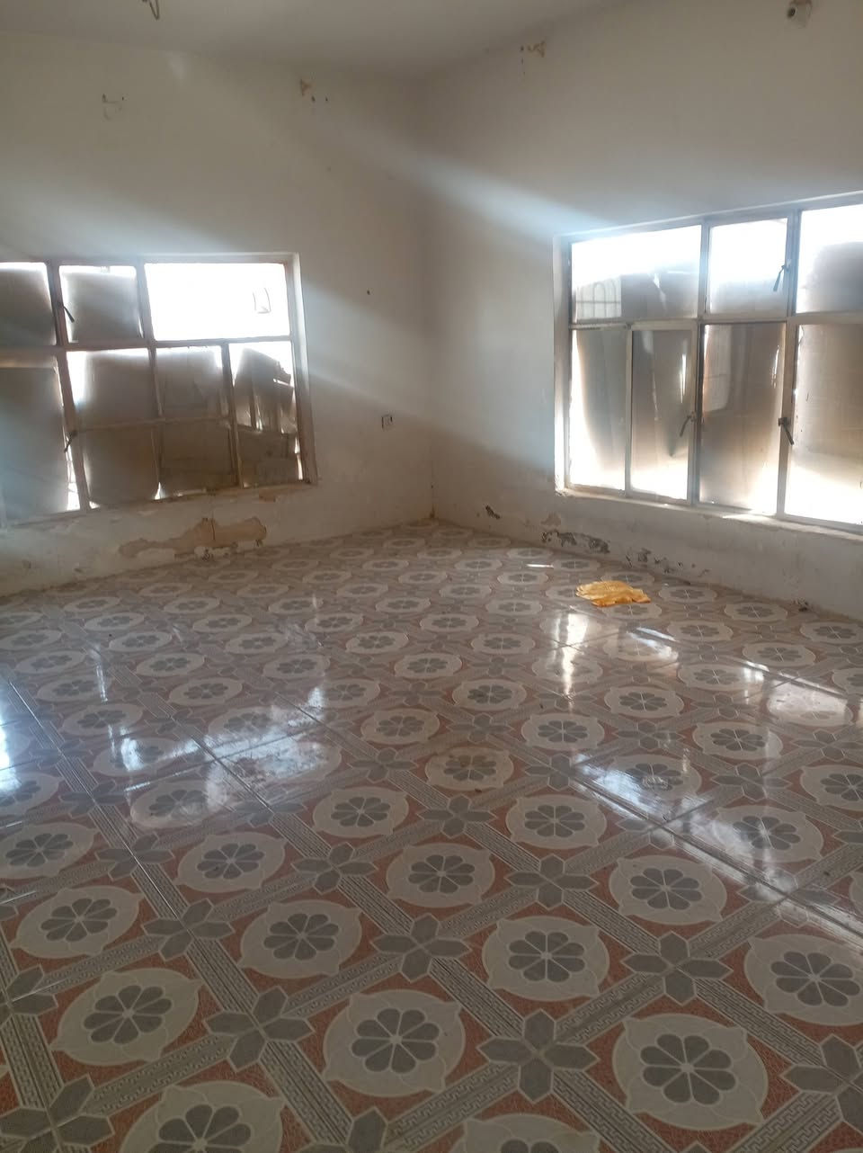🏛️  دار سكني للإيجار 
  🏛️
____
🔰 الموقع   ام الخيل الأول   ➡️
----------------------------------------
🔳 طابو  
-----------------------------
💎 تفاصيل البيت 💎  
____
   استقبال 
🔹   ٣غرف نوم  ▶️
🔹. صاله ▶️
🔹مطبخ  ▶️
🔹مجاميع صحيه داخليه 

--------------------------------

للأستفسار أكثر مراسلة الصفحه اول الاتصال على الأرقام
___________     ____________
📲*********** واتساب اتصال  
📲*********** واتساب اتصال 
___________     ____________

او زيارة موقعنا (( ام الخيل الأولى سوق العصري مجاور بيت حواء متواجدين من الساعه 🕒 3️⃣ عصرآ إلى الساعه 🕘9️⃣ مساءً))
