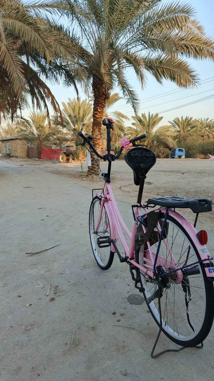 باسكل للبيع موديل 21 باسكل نضيف 
مكان نجف ناحية العباسيه 
السعر خاص ***********
