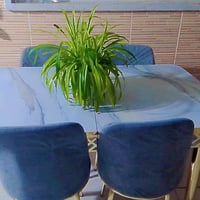 طاولة طعام • ٤ كراسي • نظيفة