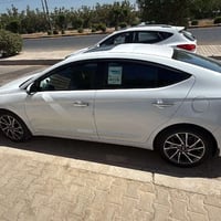 النترا ٢٠١٩ • خليجي • فول عده