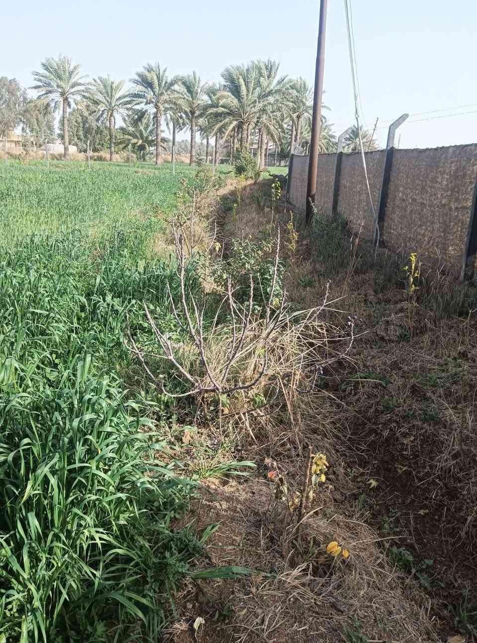 سلام عليكم نص دونم لبيع مقابيل بسمايه قرار 117 خدمات كامله كهرباء تبليط السعر اتصل وبيك خير ودلل ***********
