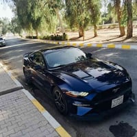 موستنك ايكو • ٢٠١٨ • حادث