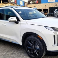 باليسايد • ٢٠٢٤ • بدون كمرك