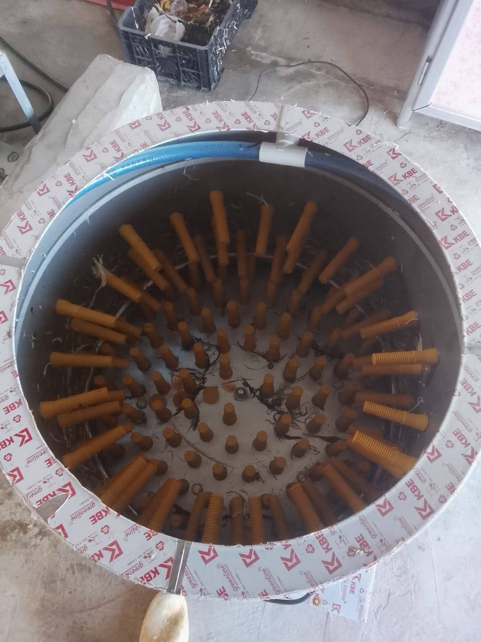 سلام عليكم البيع صماطه دجاج المكان البوعجيل التصال او خاص ***********/***********
