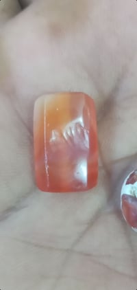 مراوس يماني • ملاكط • فيروز خنصر