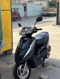 بريز بغبغاء ختم واحد من دشبول للجاملغ مكفولة كفالة عامة مكاني بغداد بل...