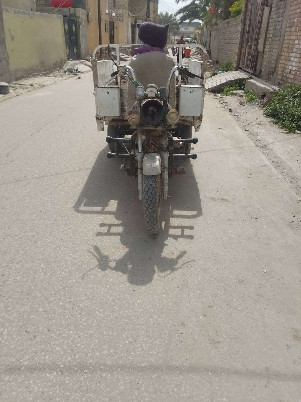 ستوته للبيع كلك شاصي مكفول السعر 500 وبيه مجال المكان بابل الحمزه الغربي ***********
