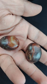 دهن ودبس • عقد السان • كربلاء