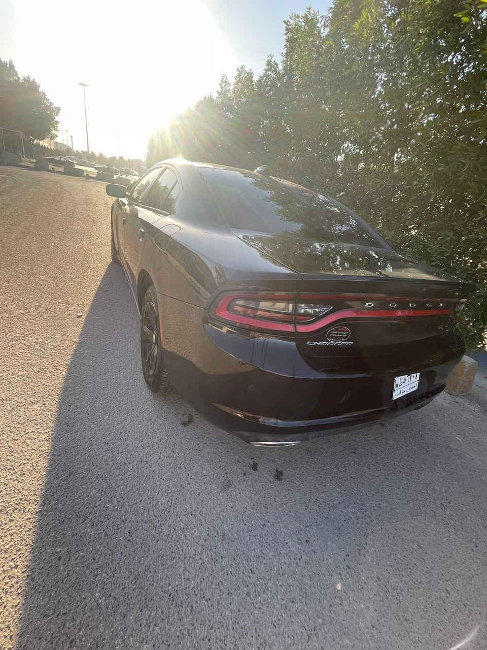 السلام عليكم جارجر SXT موديل 23
منفيس باسمي بدون رقم صور الحادث
بلمنشنور للاستفسار الاتصال ع الرقم السعر 210 بيع فقط 
***********
