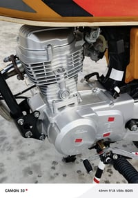 سكنر • ٢٥ • مكفول