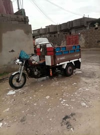 ستوته • موديل ١٧ • كلجات تعبانه