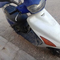 فراشه • فحل • شغاله