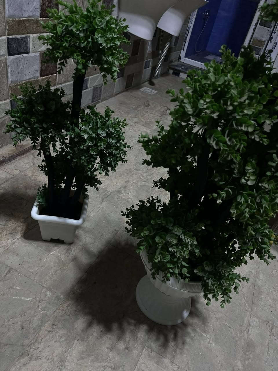 شجره اصطناعي السعر لوحده ب8 متوفر توصيل جميع محافضات العراق


**إذا كنت صاحب هذا الإعلان وتريد حذفه لأي سبب، رجاءا أرسل رسالة إلى الدعم الفني**