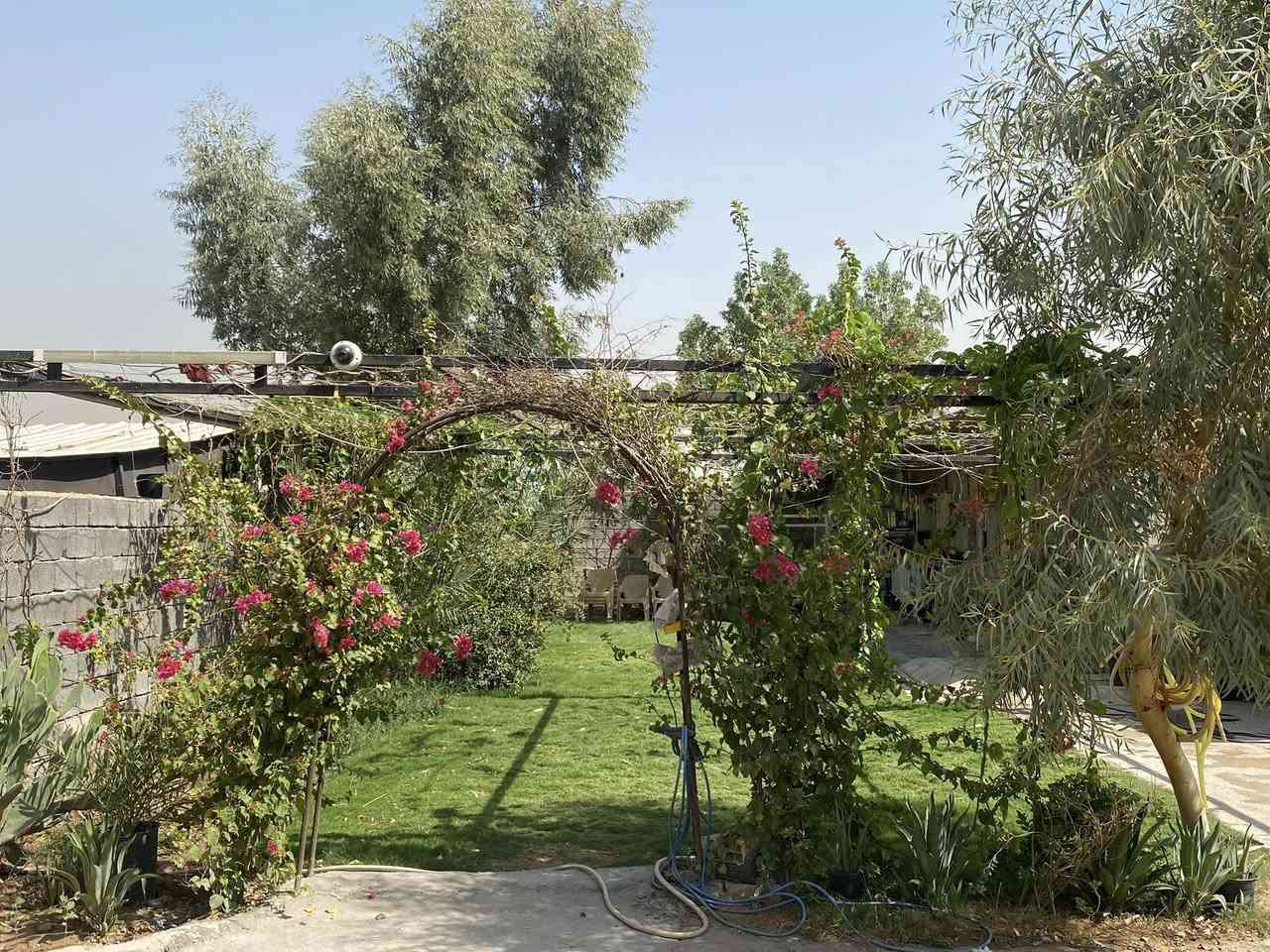 السلام عليكم
اخوان.

< دار للبيع غرفتين ومطبخ وصحيات >

< مساحة الكلية ( 266 متر ) طابو زراعي سند 25 > 

< منطقة الولداية الثانية قرب السده > 

< للستفسار اكثر الاتصال على هذا الرقم >

 (*********** )
