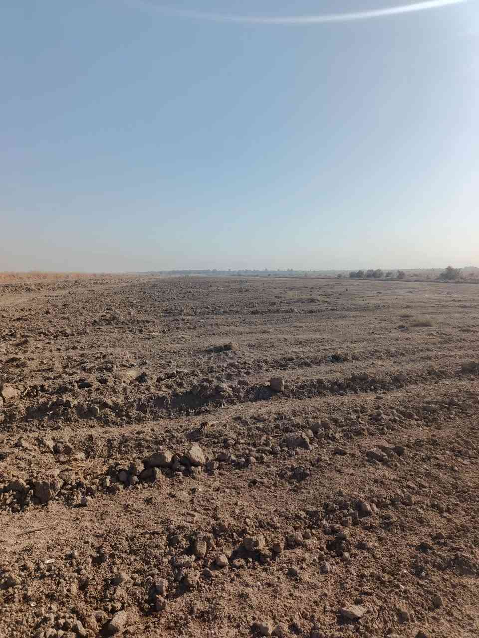 اللهم صلي على محمد والي محمد ارض للبيع المساحه 15دونم كربلاء طريق نجف كربلاء قرب الرابط مقابيل كراج العتبه قرب جامعة الزهراوي عامود 1141سايد الدخول الى كربلاء خلف المواكب والحسينيات تبعد عن الشارع الرئيسي كربلاء نجف اقل الكيلو تصلح معمل سكن مجمع طابو سند 25فتح بيان مداور كافة الاسهم للتواصل, ***********
