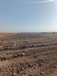 كربلاء • ١٥دونم • طريق نجف