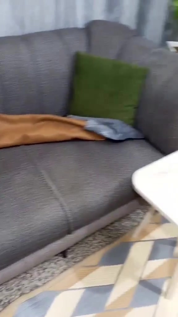 غراض للبيع الشراي يتفضل خاص


**إذا كنت صاحب هذا الإعلان وتريد حذفه لأي سبب، رجاءا أرسل رسالة إلى الدعم الفني**