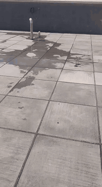 السلام عليكم مكتب الأمير لعمل الأسطح تطبيك شتايكر درجه اولى مع كادر متخصص واعاده ماستك وعمل عازل  حراري  حسب طلب الزبون  العمل في كافه  مناطق بغداد مع ضمان العمل لاستفسار الاتصال على الرقم ***********وتساب ابو مهيمن
