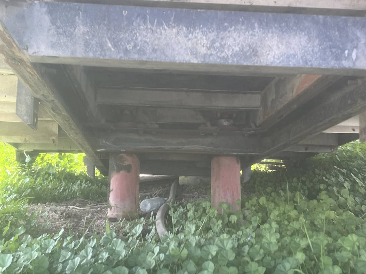 بودى ئه ميكو


**إذا كنت صاحب هذا الإعلان وتريد حذفه لأي سبب، رجاءا أرسل رسالة إلى الدعم الفني**