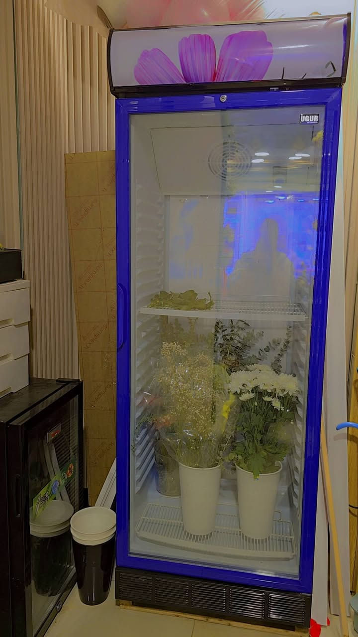 عارضات تصير للورد وللاسواق مابيهم اي شي استخدام شهرين فقط سبب البيع اريد اكبر المشروع واسوي تبريد مركزي 
للتواصل واتساب ***********
العنوان البصرة
