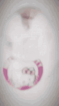 شباب لابوبية للبيع 😂🩷
دراجه يرادله ترتيبات بيها خفايف 

بوشة ٥٥ تجفيت جديد صارلة يومين بعدها ع سحك

كهربائيات كلها شغالة كويل جديد باتري جديد ملف جديد تاير خلفي جديد 

بيها سستم سماعات بلجنطه 

بيها صدر امامي رياضي لون 💜

بيها شيال رياضي لون 🩷 

يده مال بريك رياضي لون 🩷

قطرة دهن رياضي لون ❤️

شوتة رياضي لون ❤️ 

صالنصة Fm جديدة 

سعر ٤٠٠ بيها مجال 

مكاني بغداد جسر ديالى القديم 

للستفسار خاص رقمي ***********
