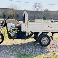 ستوتة • ٢٠٢٠ • فحل