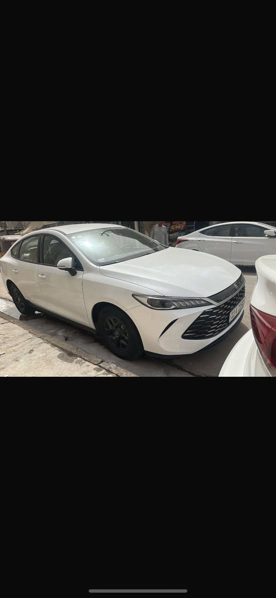 بيوايدي كن بلاس كارتون اخت الزيرو مرقم مدوشمه يم علاء ابو دلو على وضع الشركه بسمي مكاني بغداد ***********
