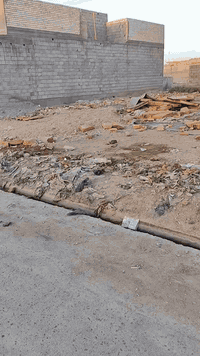 قطعه ارض للبيع مقابيل سوك شاعوره الجديد ثاني شارع على شارع التيوتات  ا...