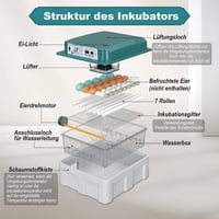 فقاسة بيض • ٤٢ بيضة • قفل