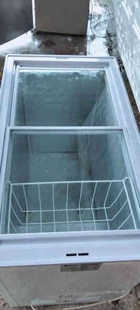 مجمدة بلسان اصلية • ١٤قدم • المشتل بغداد