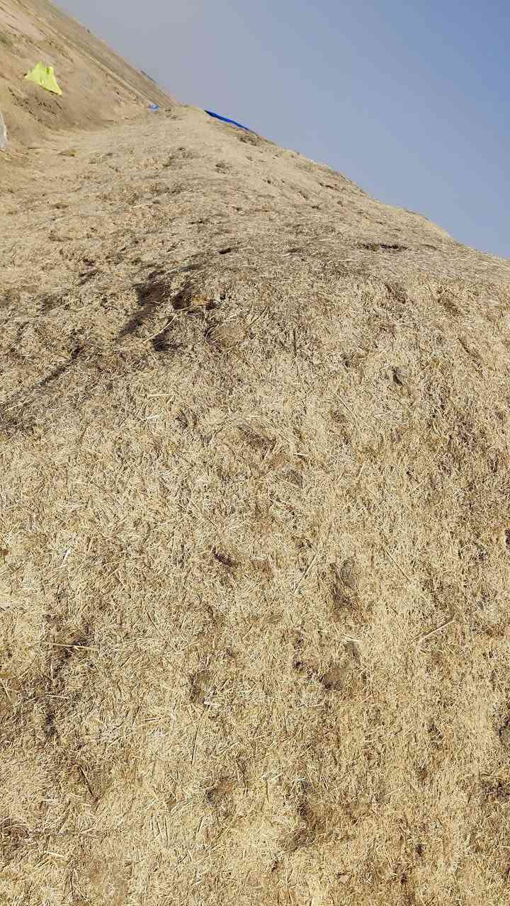 السلام عليكم
يوجد تبن للبيع
نضيف ابيض المكان ديالئ /العظيم
الهاتف ***********
