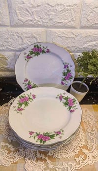 صحون شطح • عدد ٦ • قياس ٢٠