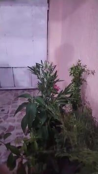 ابو ثيلة • ٧٥م • طابق ونص