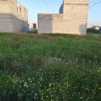 خانقين • ١٢٥م • طابو صرف