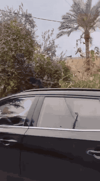 البيت  للبيع  (مستعجلين)
525 متر
العنوان بغداد شارع فلسطين قرب مطعم زرزور 
طابو ملك صرف 
بسم شخص واحد 
تحويل ثاني يوم 
تفاصيل اكثر إتصال برقم 
ممتواجدين ع الفيس 
***********
