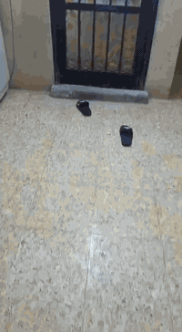 دار للبيع طابو صرف المساحه ١٠٠ ٥×٢٠ الموقع حله شارع ثمانين شارع الحسينيه مقابيل جامع الرحمان موقع ممتاز ‏‪***********‬‏ثالث بيت عن الشارع الرئيسي التفاصيل أكثر اتصال
