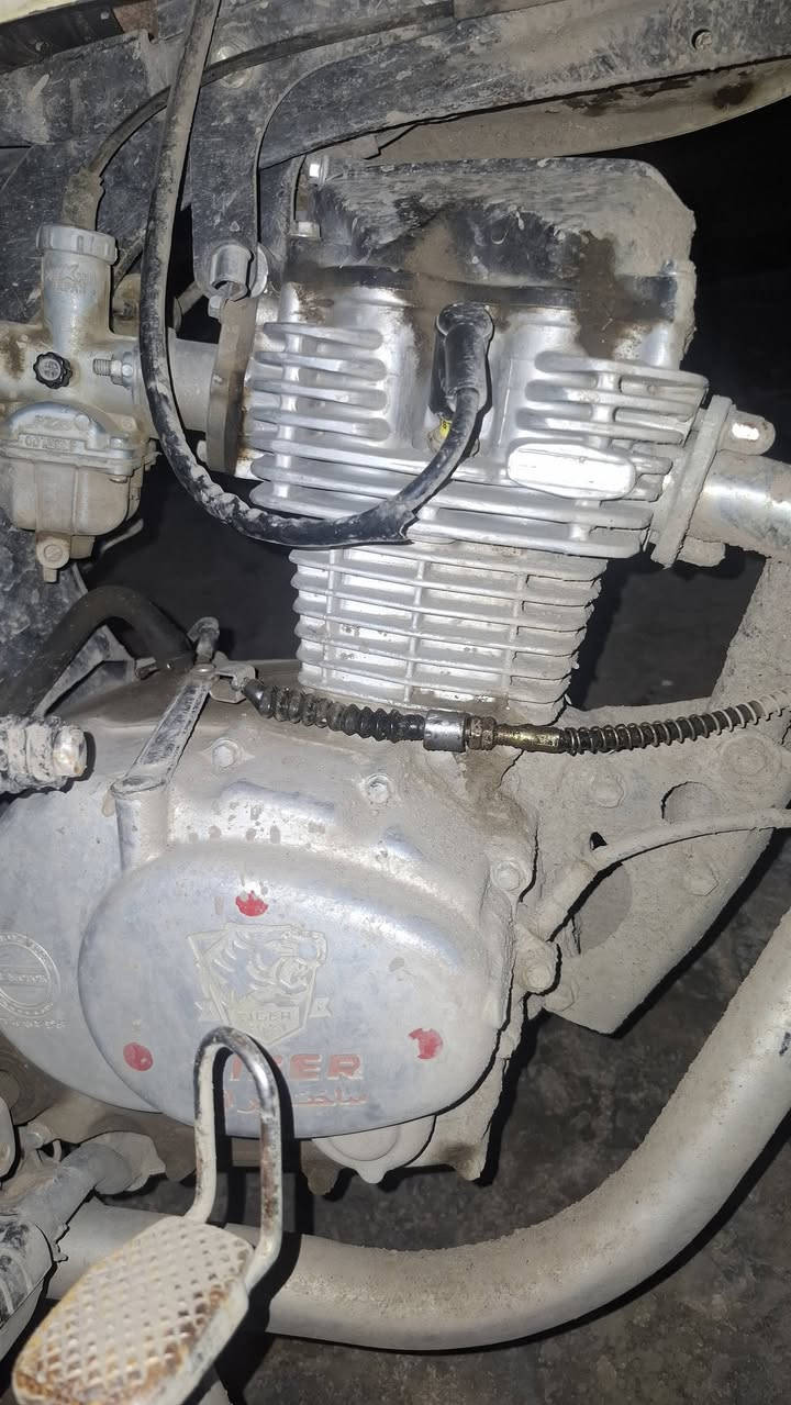 سلام علیم تایگر 21    اوراق محرک نضيف لل علم ماغسل ماطور  محرک غير من الله اريد ارواسه کون دراجه نضیفه  انطي فرق   ای شي   نضیف عندک تعاال


**إذا كنت صاحب هذا الإعلان وتريد حذفه لأي سبب، رجاءا أرسل رسالة إلى الدعم الفني**