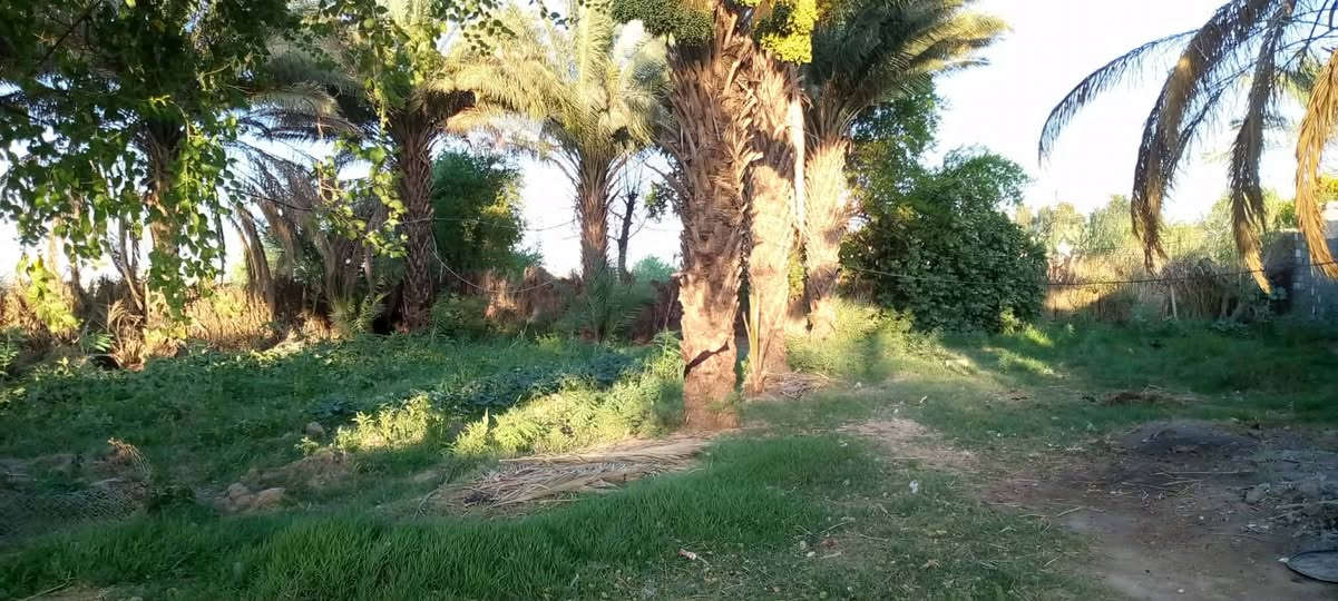 سلام عليكم
بيت لبيع مساحته 1500مع البستان
 يحتوي لبيت على غرفتين ومطبخ وصاله استقبال خارجي مع دونم على شط مكان واسط 
منطقه ليوسفيه مقابل دور الخليج
الستفسار على رقم

اسيا.***********

اثير.***********
