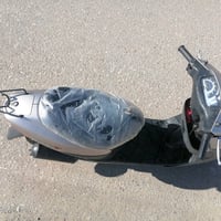 سوزوكي • أوراق • الكحلاء