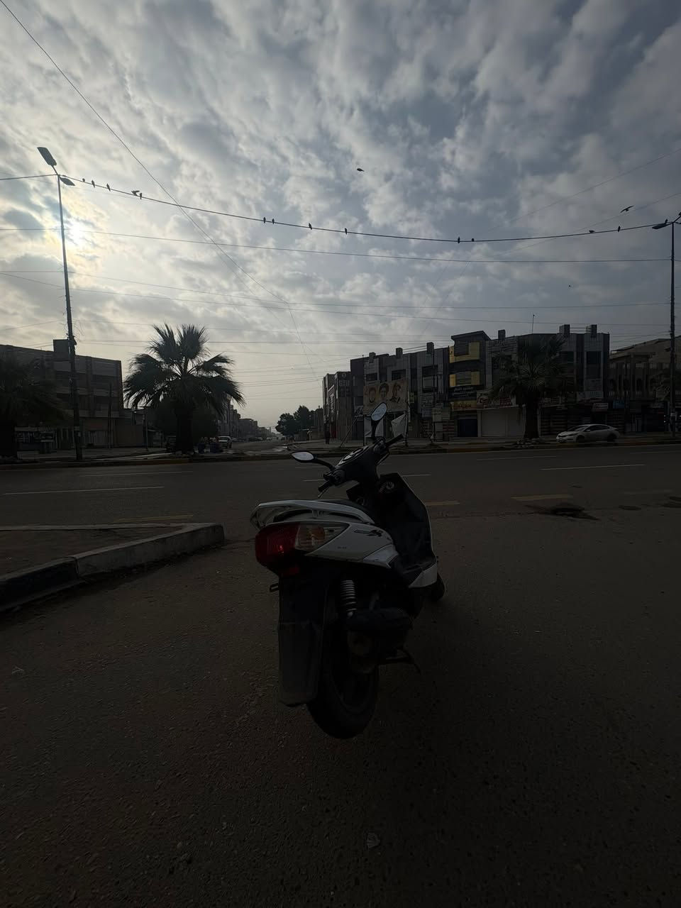 سلام عليكم سكنس فحل رميه صالها ٤ اشهر نازله مكفوله من التاير الامامي للتاير الخلفي دراجه خير من الله شلعه معدل تجي وتجيب وياك كوستر فيتريه الدراجه نقصاها فقط بريك امامي وشويه كماليات بسيطه يعني ادامه شهريه مثل اي دراجه دهن ابدل موتل كل ٢٠ يوم مكاني البنوك قرب تقاطع الفلسطيني رايدها ب ٨٥٠ وبيها مجال حك الجيه  وانوه علا شغله اني مو بياع شراي اني جناي  واذا اكو مراوس ي جيتي أر نضيفه او سكنس لد    للستفسار ***********
