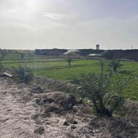 مزرعة • طريق تل لحم • ٣ دونم ونص