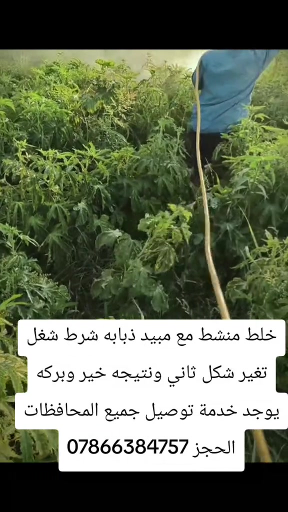 سلام عليكم ورحمه الله وبركاته يوجد جميع العلاجات والمبيدات الحشريه والمنشطات ومبيدات الادغال الحلفه والكصب مع توصيل المحاصيل الصيفيه والأشجار الممثمره نخيل تين شرط شغل  الحجز مراسلة الحساب اوتصال ع رقم واتساب ***********
