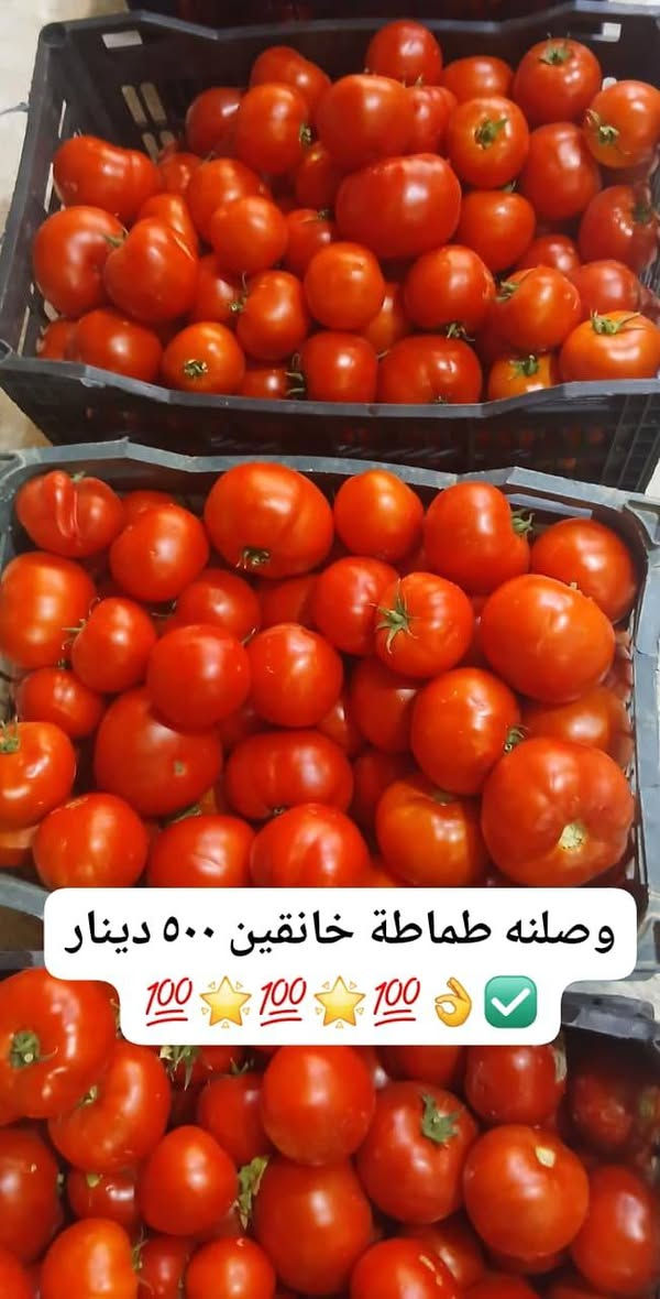 ☎️🌼🍋🍍🍇🥭🍈🥕🍓🍌🍏🍑🍎🌶🍎🥭🍍🍒
#كلةة_امتتيييازز_فواكه_وخضروات_ابو_مصطفى💛
#توصيل_مفتوح_يومياً_ومسواك_جديد_يوميا
#whatsap_comunication..***********..✅️☎️☎️
 #احفظ_الرقم_سيظهر_لك_استوريات_الفواكه_عالواتساب ✅️
#فواكه_وخضروات_ابومصطفى_في #خانقين_امام_عباس
#مجاور_مختبر_سامان_واسواق_خيزان_وصيدلية_ابوحسن_قصابة_جلولاء_ومكتبةعارف
‏
‏🔹 «اختار المعروض بالصور والأسعار الظاهرة امامك وأرسل الطلب عالواتساب أو المسنجر»  على الرقم الاسفل👇

‏
‏                 الواتساب  ***********.☎️
‏                 التليكرام ***********☎️
                 الفايبر ***********☎️
                ماسنجر / فواكه وخضروات ابو مصطفى ✅️
#متابعين_فواكه_وخضروات_ابومصطفى

‏
