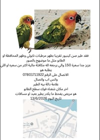 أغراض شخصية • إشارة