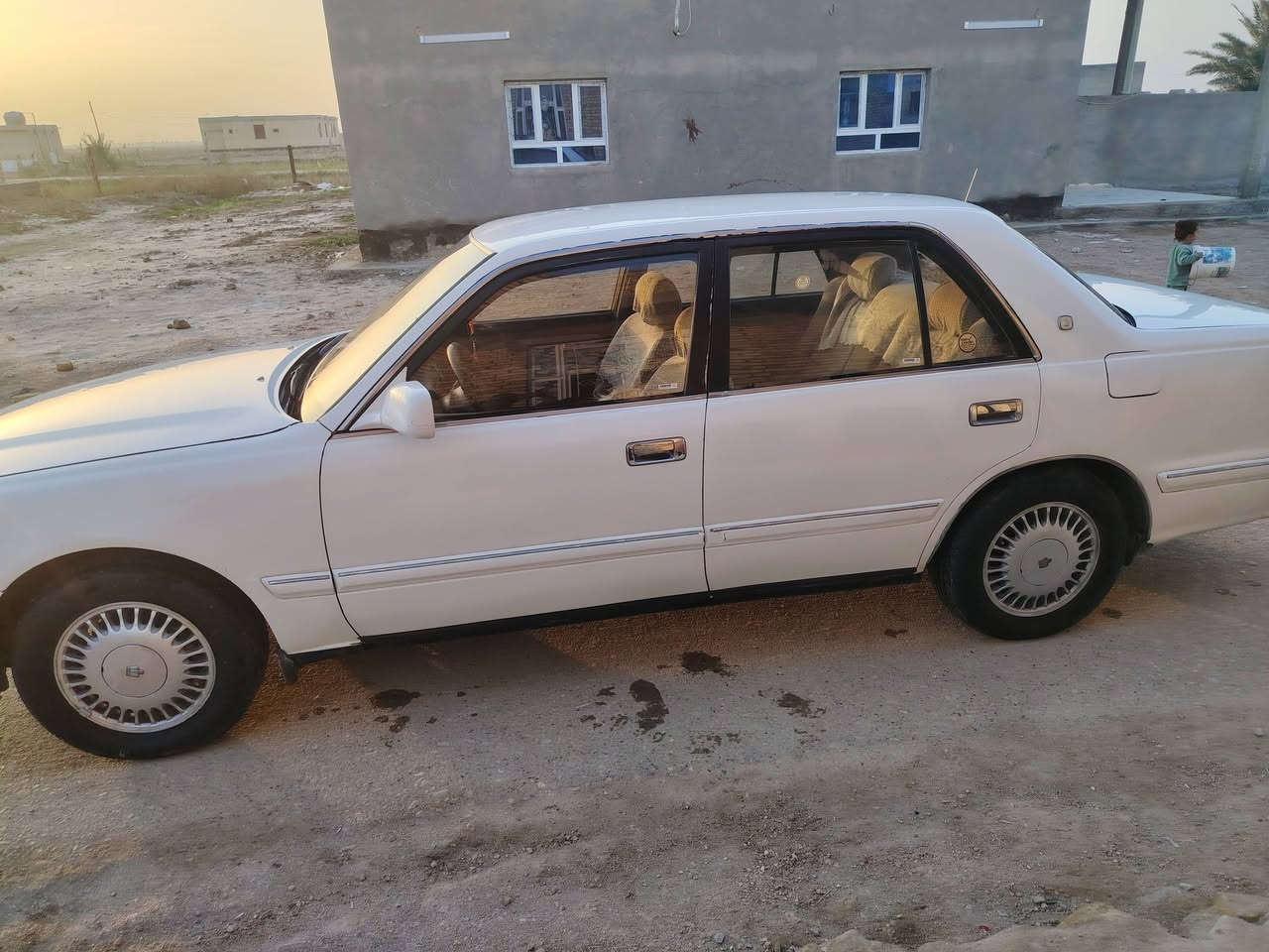 راس اثور يسرا رقم صلاح دين بسمي   مكفوله من ضربه القويه مصبوغه حزام مكان يساره سماوه *********** سعر 110 وبيه مجال قليل
