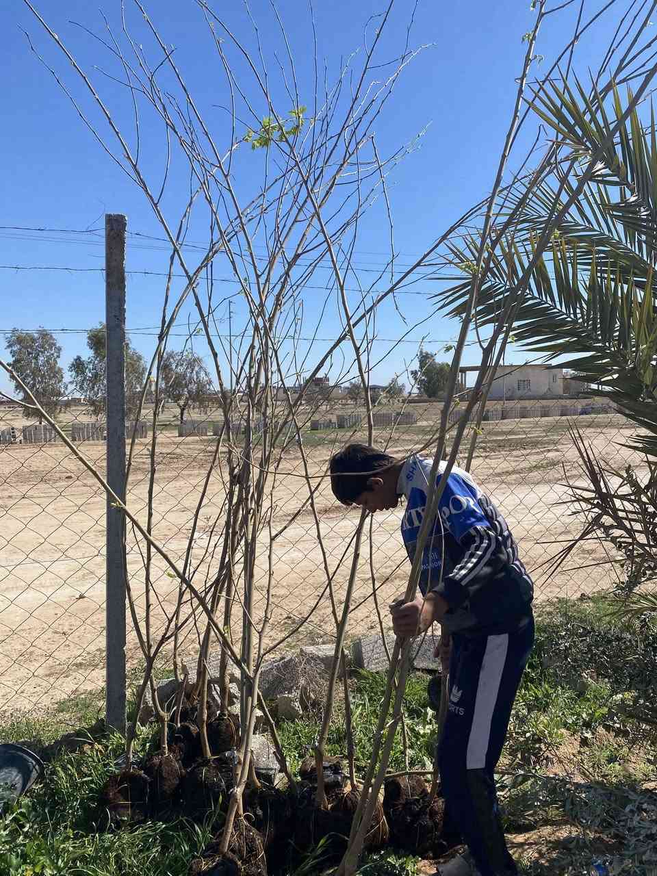 وجبة جديدة ثيل هندي المتر مربع ٣ آلاف ورد موسمي ودائمي ٥٠٠ دينار نينيا ١٠٠٠ دينار نخل زهدي وخستاوي ٥٠٠٠ دينار  
وتكي هندي وكندي وجهنمي الوان وبخور هندي وجوري سلطاني وإيطالي 
وجميع أشجار الحمضيات والنفضيات السعر حسب الاحجام #مشتل الكوثر طريق الزاب شميط قرب محطة الرملي وقاعة الهيبة بإدارة رعد ابو كوثر ***********
