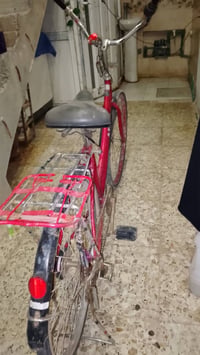 بايسگل بناتي • نضيف • موديل ٢٠١٦